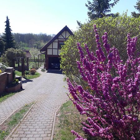 Ferienwohnung Zur Saaleaue Wettin Exteriör bild