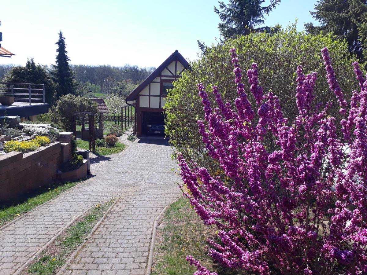 Ferienwohnung Zur Saaleaue Wettin Exteriör bild