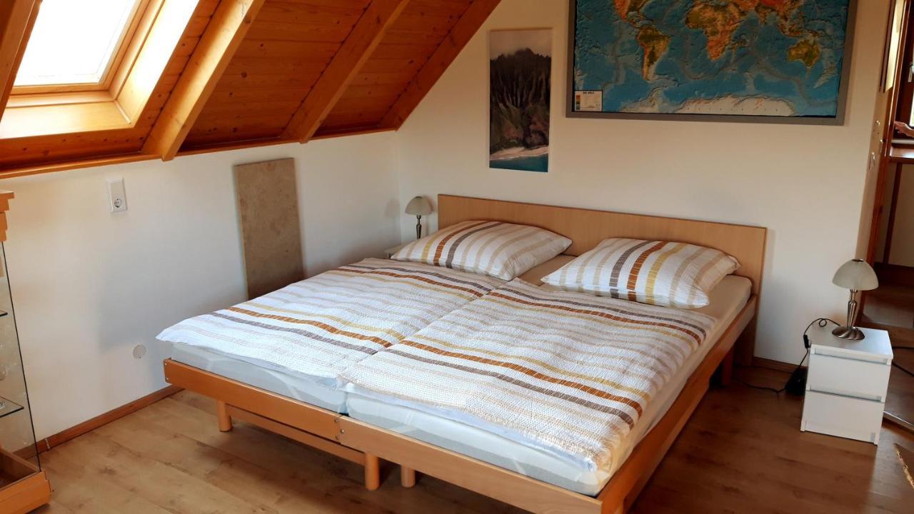 Ferienwohnung Zur Saaleaue Wettin Exteriör bild