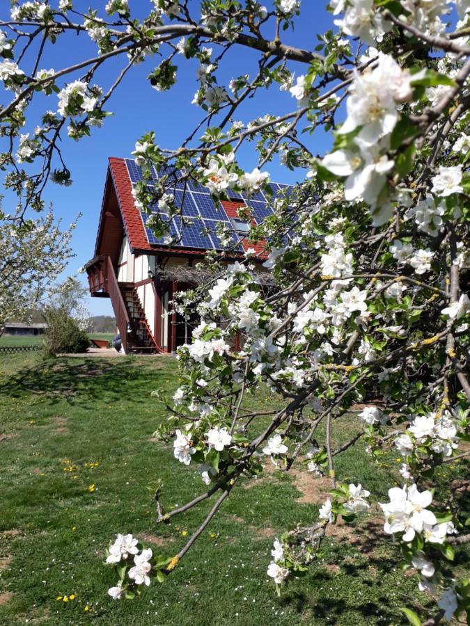 Ferienwohnung Zur Saaleaue Wettin Exteriör bild