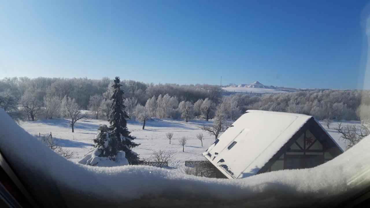 Ferienwohnung Zur Saaleaue Wettin Exteriör bild