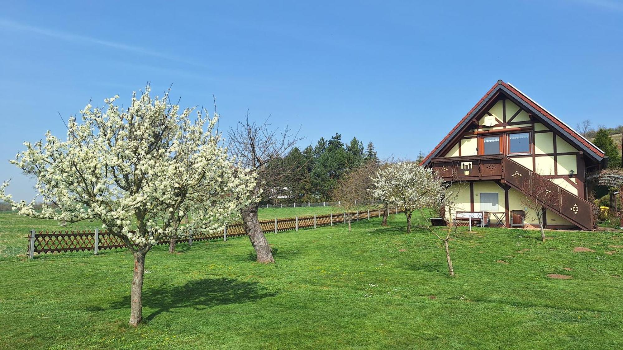 Ferienwohnung Zur Saaleaue Wettin Exteriör bild